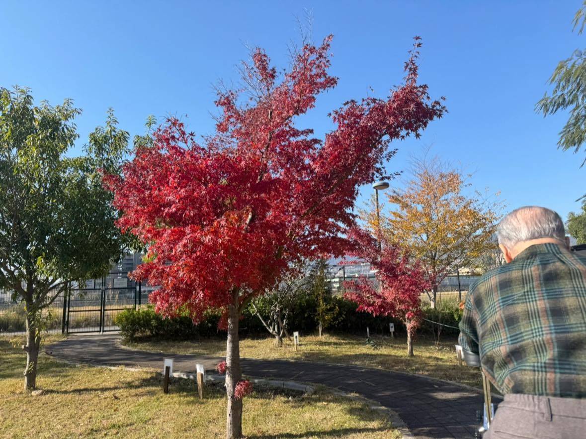 【屋外歩行練習】